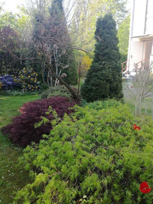 Ferienwohnung Hradiska Jablonné nad Orlicí Exterior foto